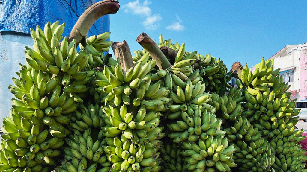 Green banana peel, a great source of potassium